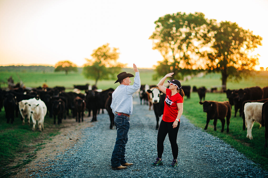 Working cattle on the ranch