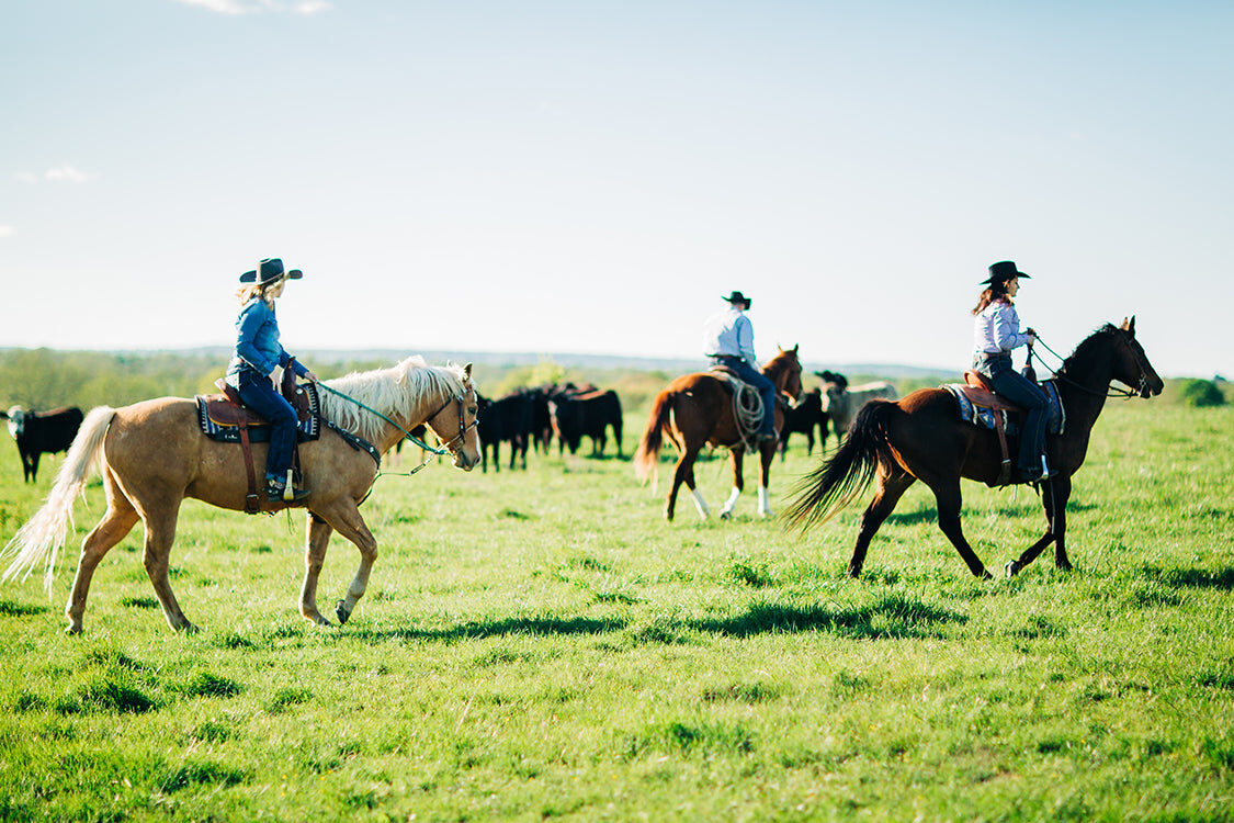 Riding out to the herd