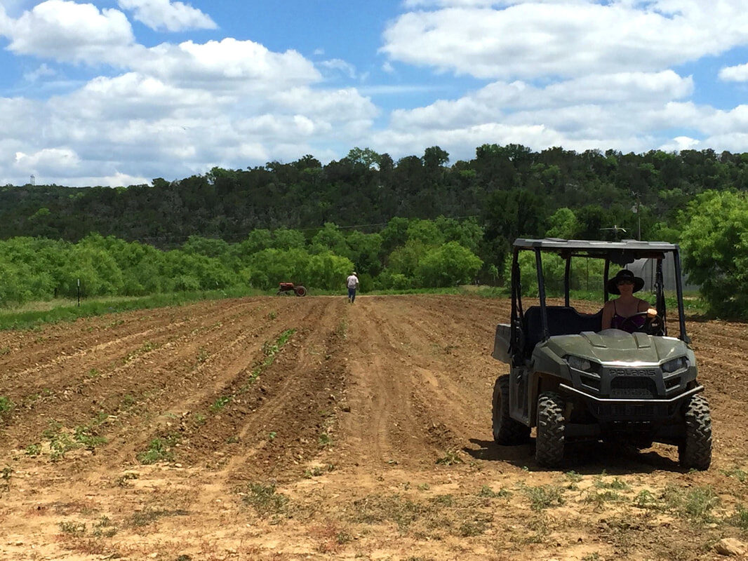 Working the ranch