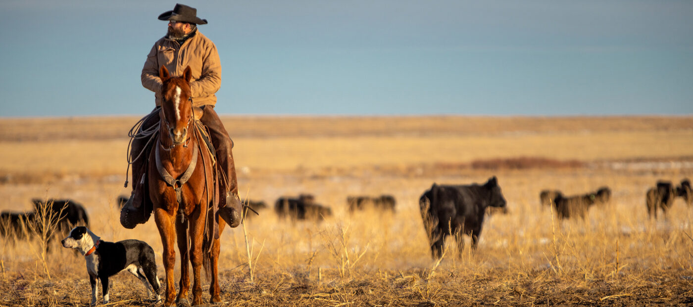 Riding out at sunset