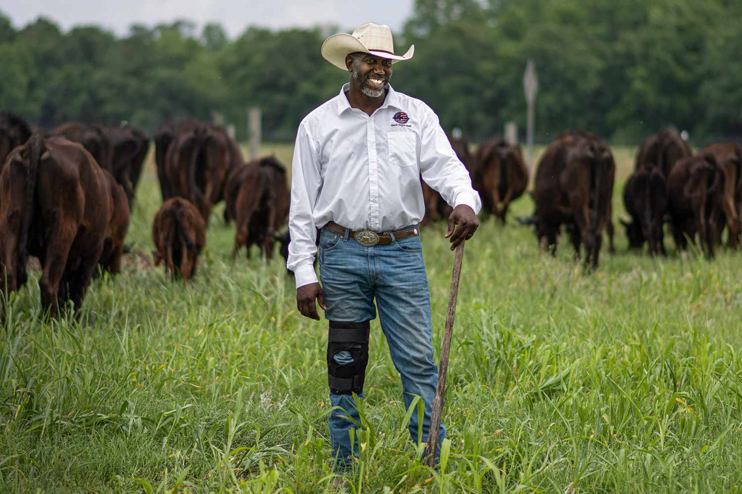 A smiling American rancher standing in a pasture with his cattle